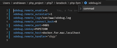 xdebug ini